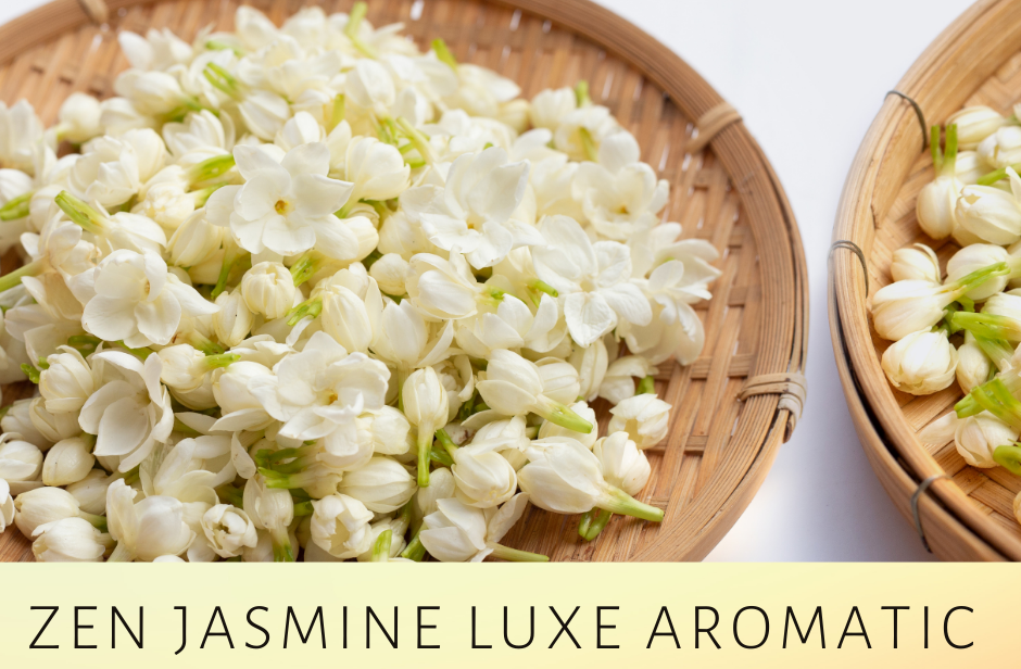 Zen Jasmine