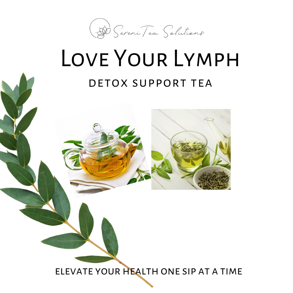 Love Your Lymph Detox Support Tea